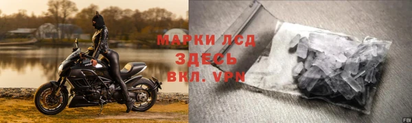 СК Аркадак