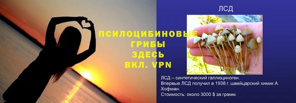 крисы Арсеньев