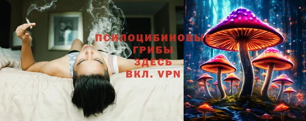 дживик Армянск