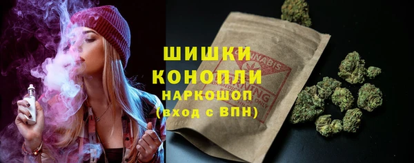 крисы Арсеньев