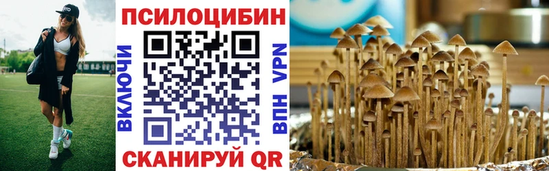 Псилоцибиновые грибы мухоморы  что такое наркотик  Ельня 